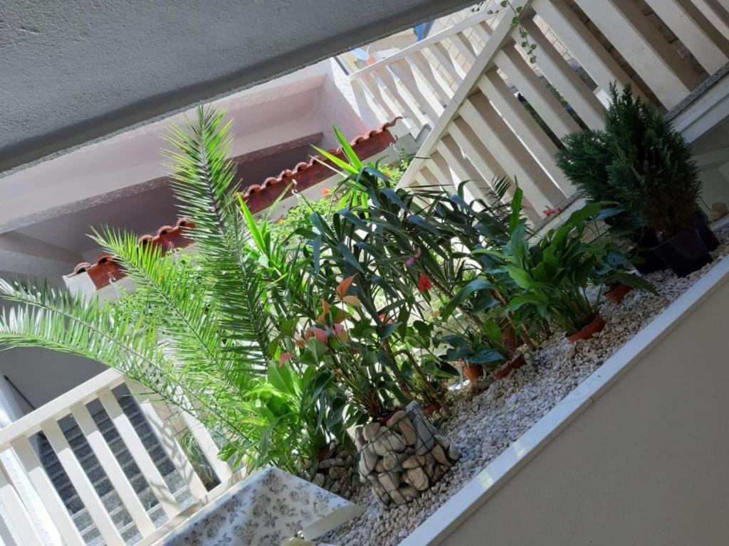 Apartments ดูเช ภายนอก รูปภาพ